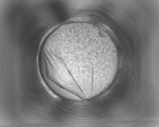 X0000068740796200605192344