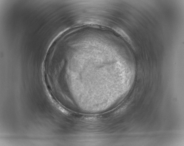 X0000068740798200605192343