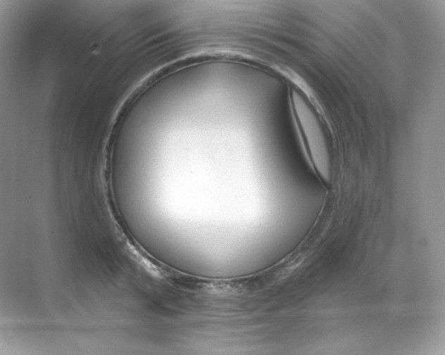 X0000068740799200605192343