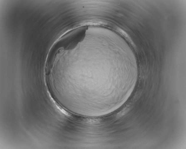 X0000068740802200605192343