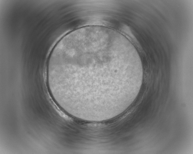 X0000068740804200605192343