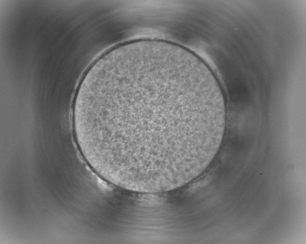 X0000068740807200605192343