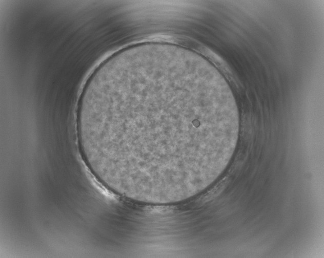 X0000068740808200605192343