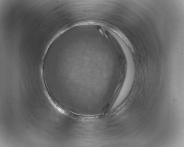 X0000068740813200605192343