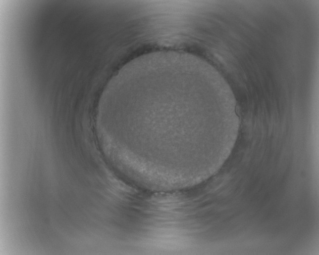 X0000068740817200605192342