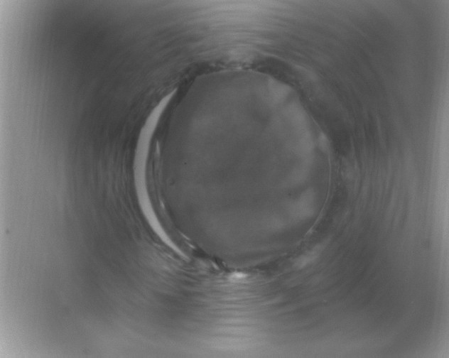 X0000068740818200605192342