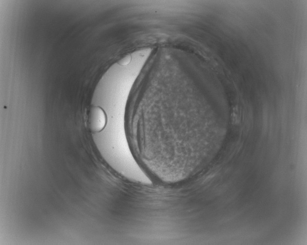 X0000068740820200605192342