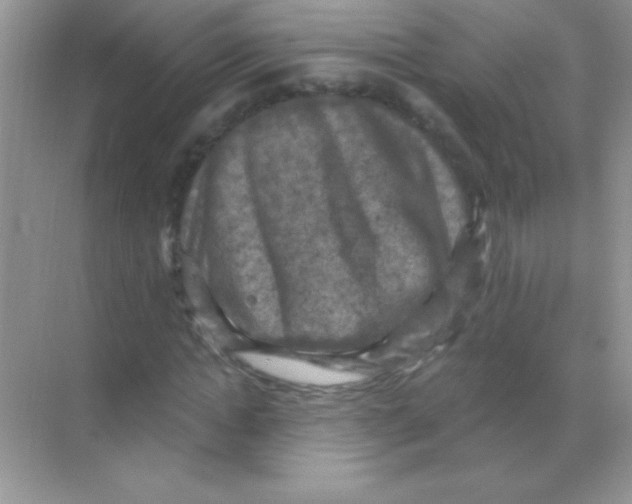 X0000068740822200605192342