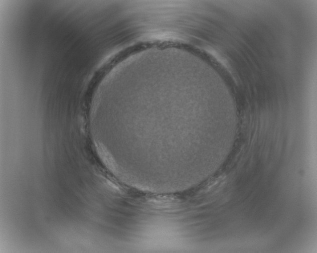 X0000068740823200605192342