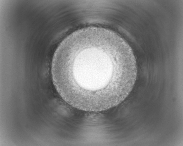 X0000068740824200605192343