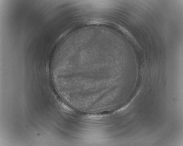 X0000068740825200605192343