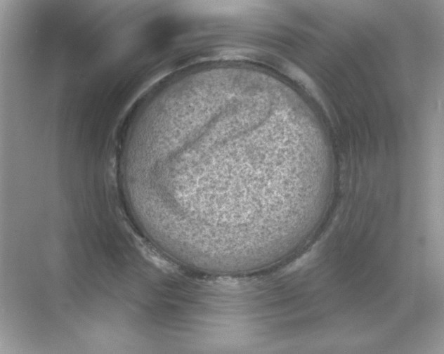 X0000068740827200605192343