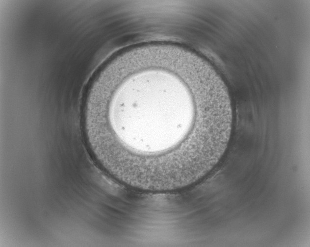 X0000068740828200605192343