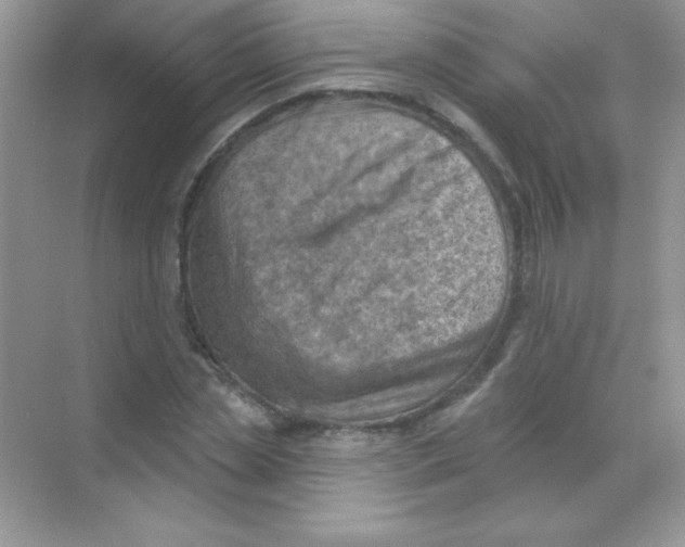 X0000068740829200605192343