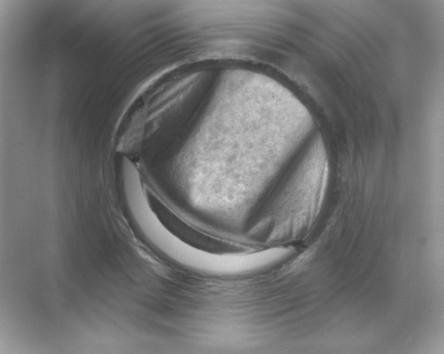 X0000068740830200605192343