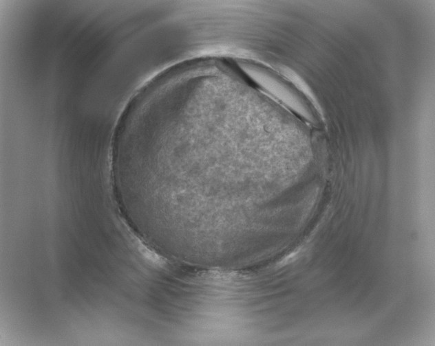 X0000068740831200605192343