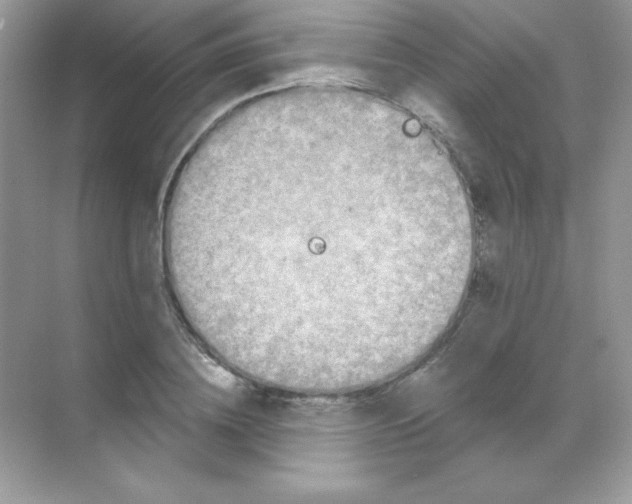 X0000068740836200605192343