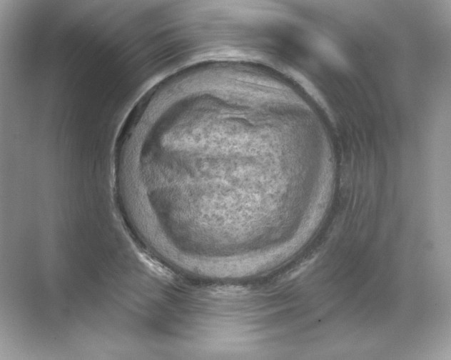 X0000068740837200605192343