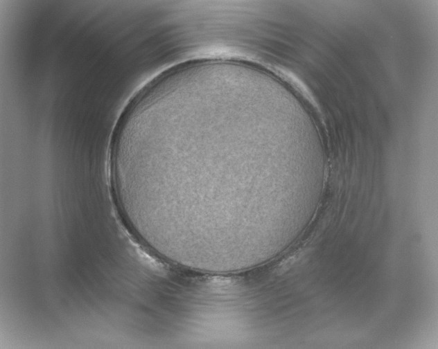 X0000068740839200605192343