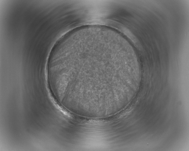 X0000068740840200605192343