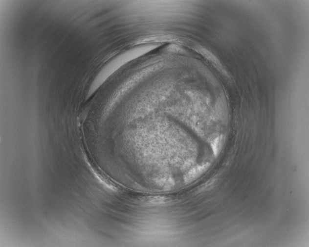 X0000068740841200605192343