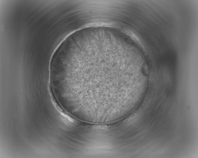 X0000068740844200605192343