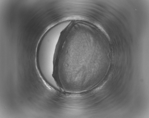 X0000068740845200605192343