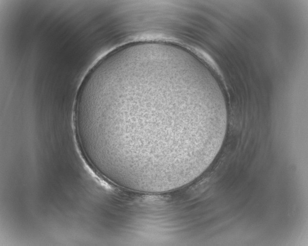 X0000068740847200605192343