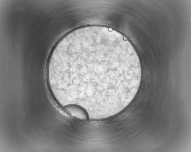 X0000068740848200605192343