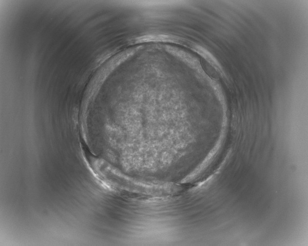 X0000068740849200605192343