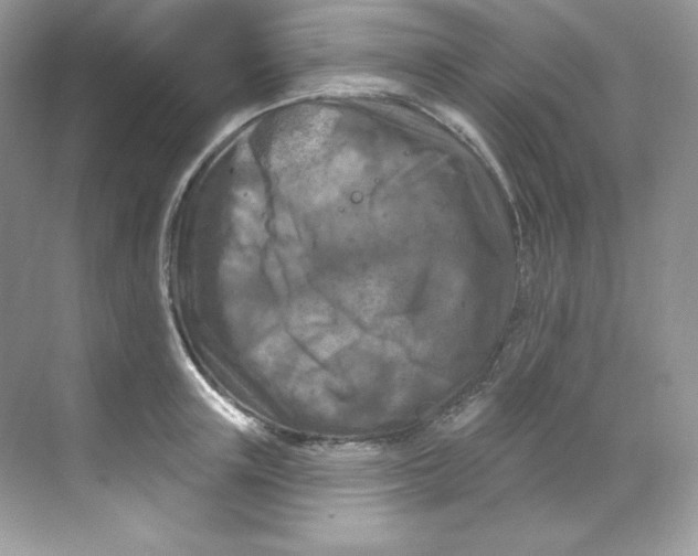 X0000068740851200605192343