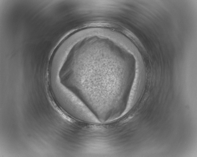 X0000068740852200605192343