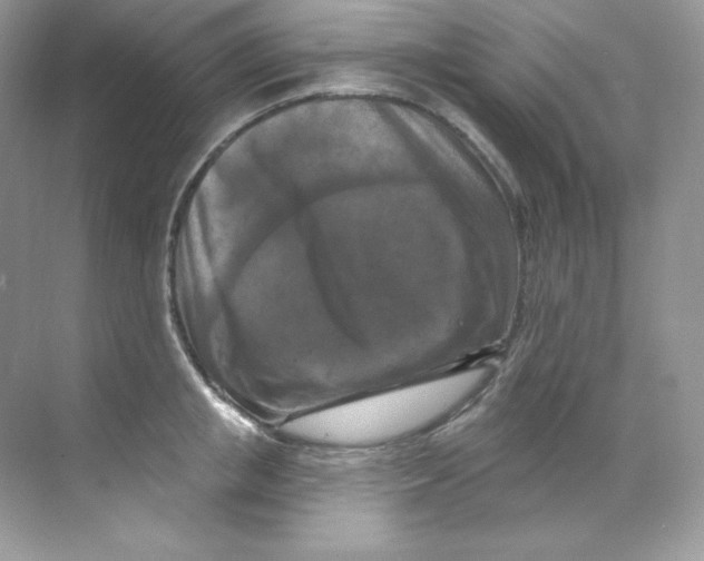 X0000068740853200605192343