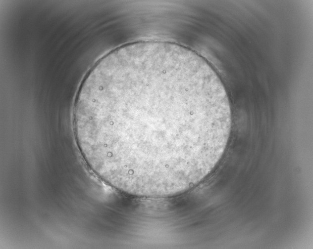 X0000068740856200605192343