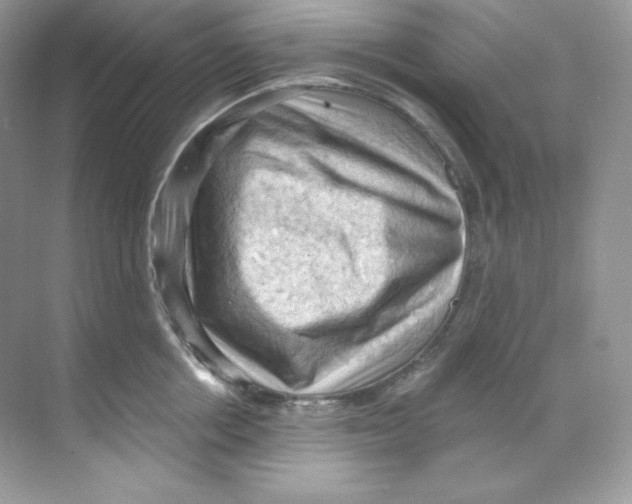 X0000068740858200605192343