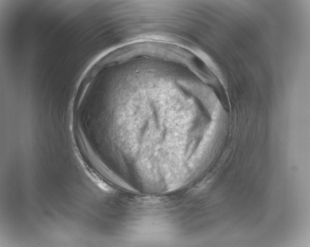 X0000068740862200605192343