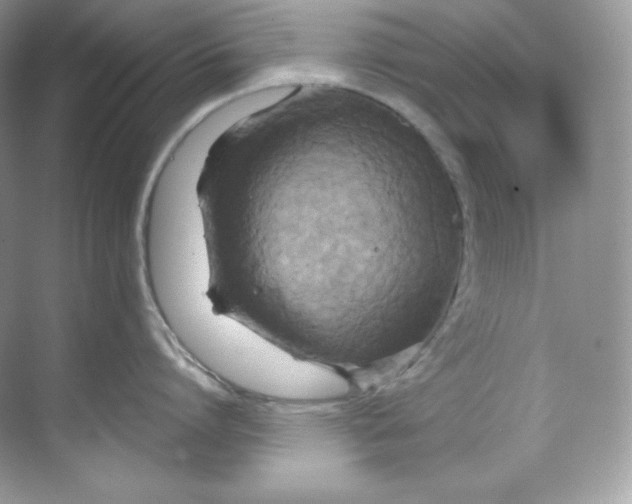 X0000068740864200605192343