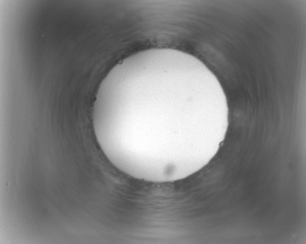 X0000068740865200605192342