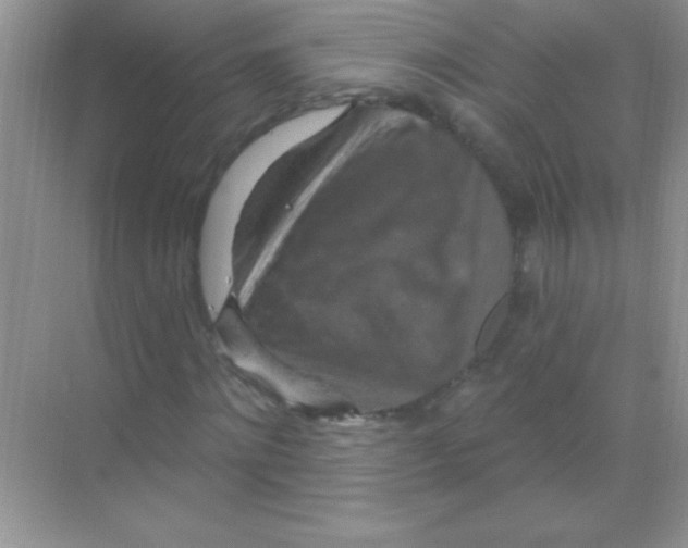 X0000068740868200605192342