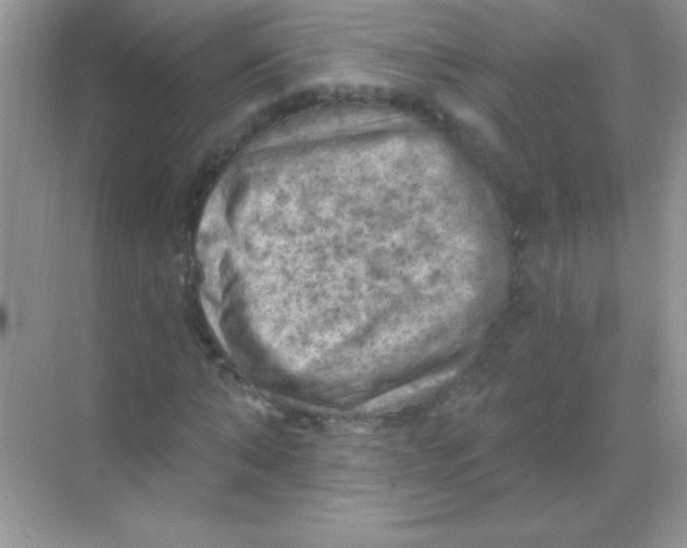 X0000068740870200605192342