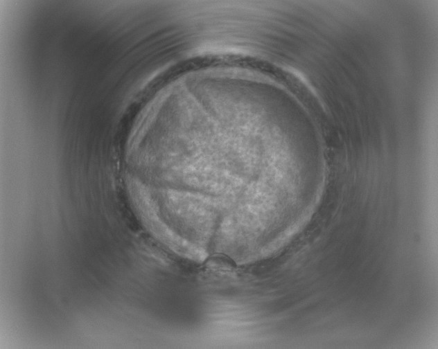 X0000068740871200605192342