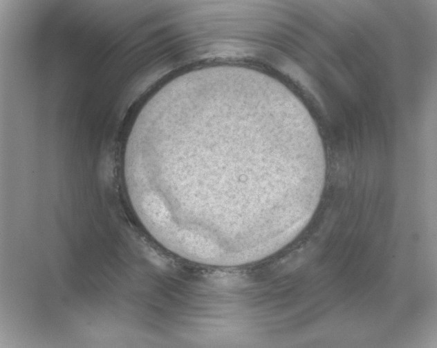 X0000068740874200605192342