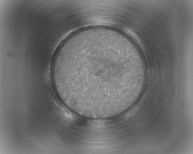 X0000068740875200605192342