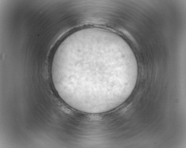 X0000068740878200605192342