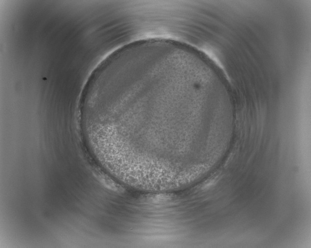 X0000068740879200605192342