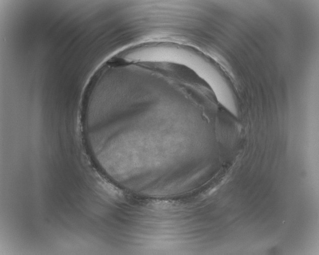 X0000068740880200605192342