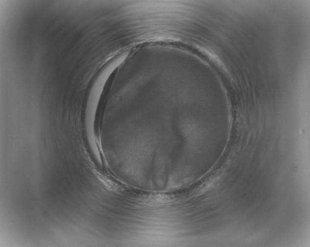 X0000068740881200605192342