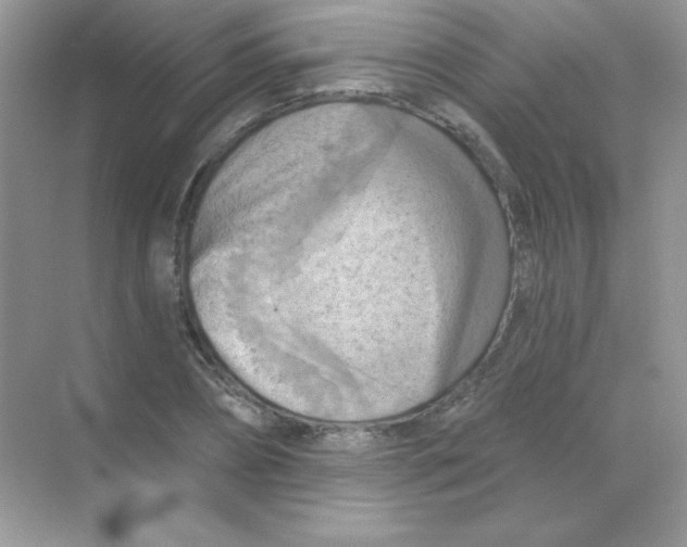 X0000068740882200605192342