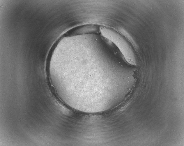 X0000068740884200605192342