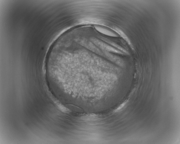 X0000068740885200605192342